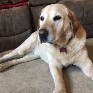 Meet your Posher, Mckenna